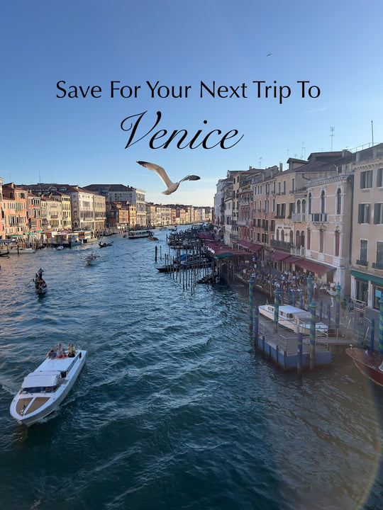 View from Rialto bridge in Venice showing seagull in flight with type over saying guide to Venice 