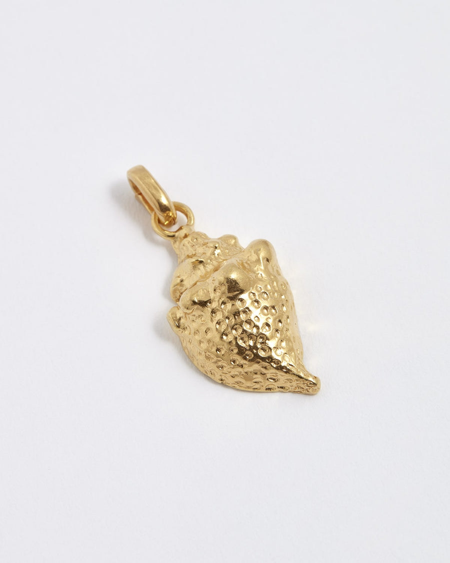 soru gold shell conch charm, charm to be attached to soru charm chain necklace